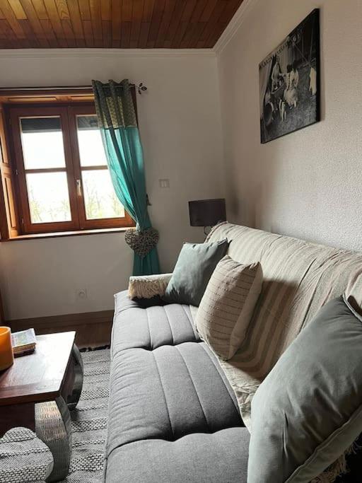 Maison Ray Sur Saone Ray-sur-Saone Экстерьер фото