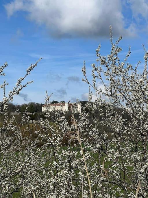 Maison Ray Sur Saone Ray-sur-Saone Экстерьер фото